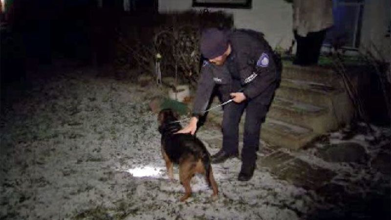 Un homme donne sa veste à un chien abandonné dans la neige presque mort de froid