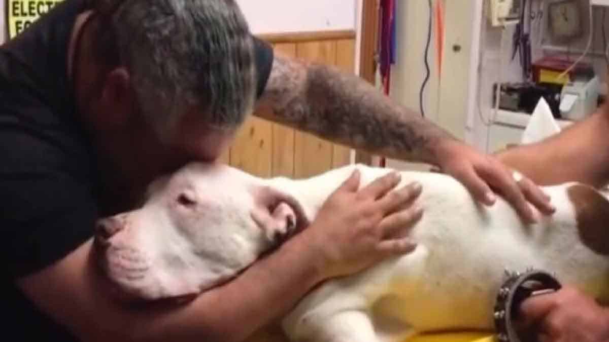Un homme "dur" s'effondre lorsqu'il doit dire adieu à son chien avec lequel il vit depuis 14 ans
