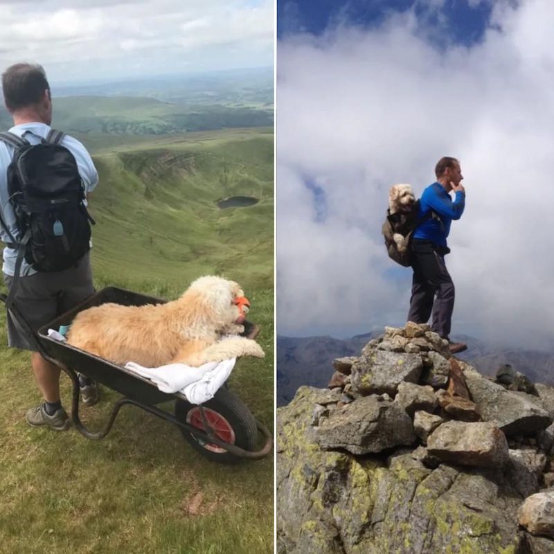 Un homme emmène son chien dans sa montagne préférée pour une dernière aventure