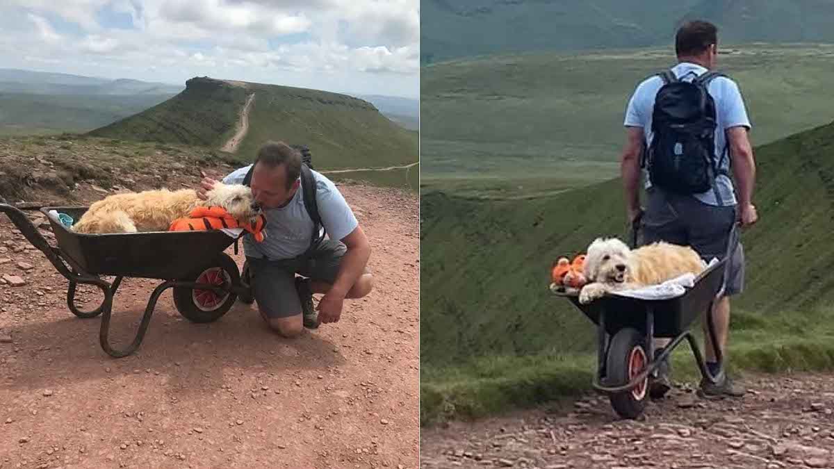 Un homme emmène son chien dans sa montagne préférée pour une dernière aventure