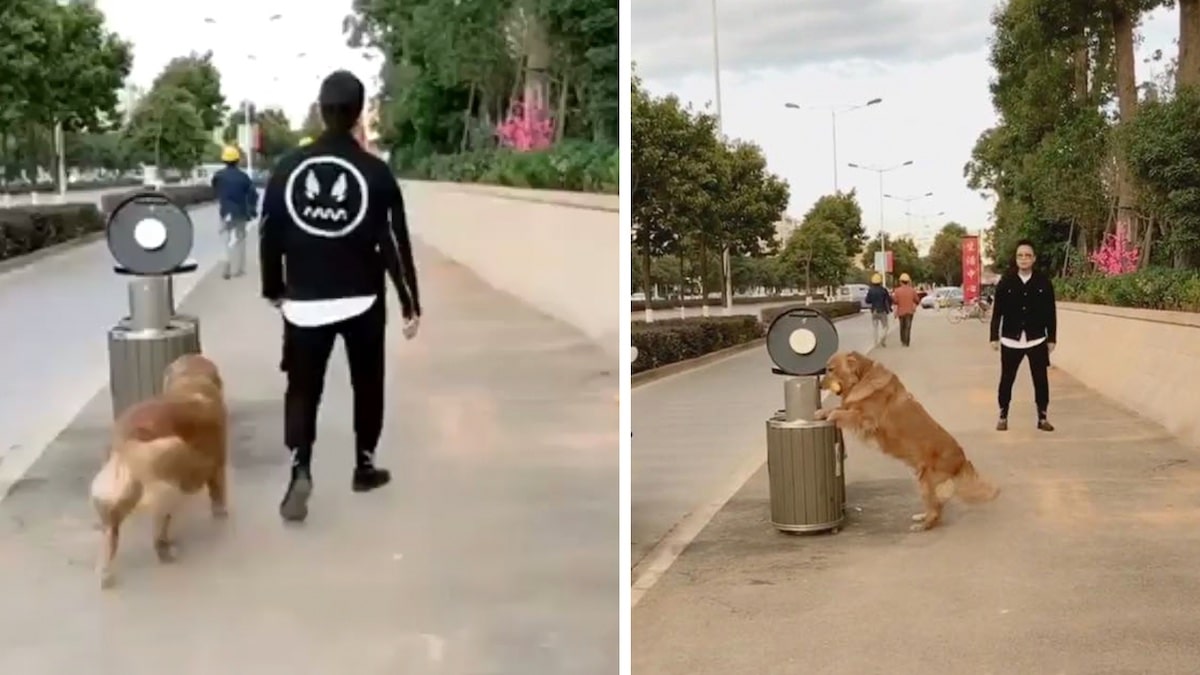 Un homme est choqué par son chien qui ne peut s'empêcher de ramasser les déchets dans la rue et de les remettre à leur place.