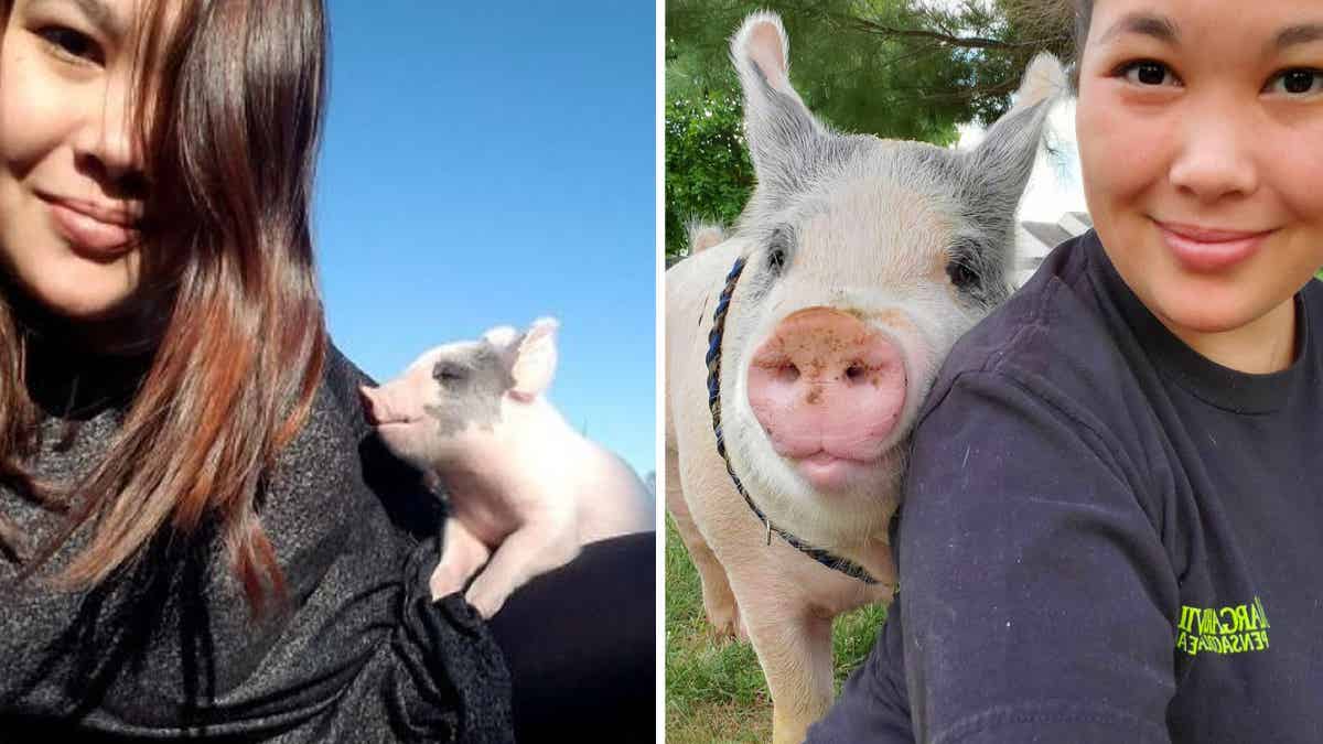 Un petit cochon a une deuxième chance d'être heureux malgré le diagnostic