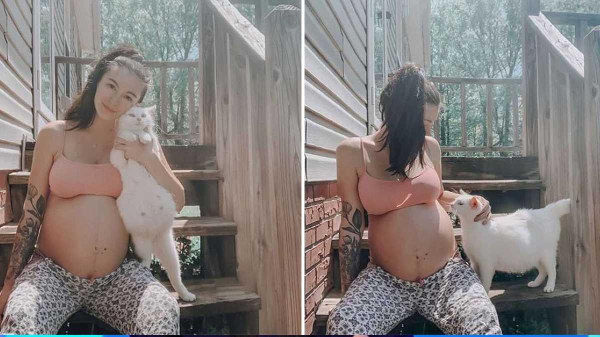 Une femme et un chat sans abri enceinte mettent bas en même temps