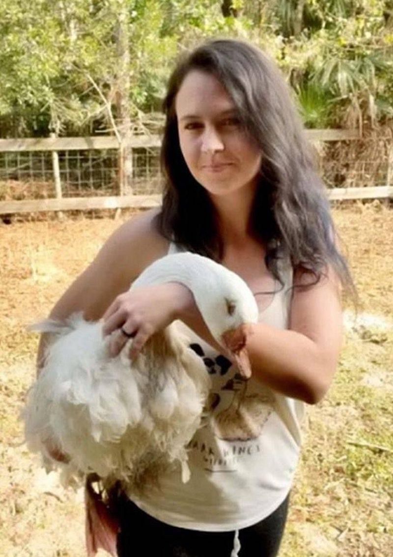 Une oie née sans yeux trouve enfin un foyer à la ferme, sublime