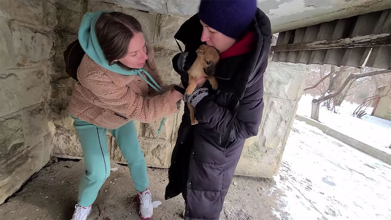 ( Vidéo ) Un rottweiler adopte un chiot sans abri et l'élève comme s'il était le sien.