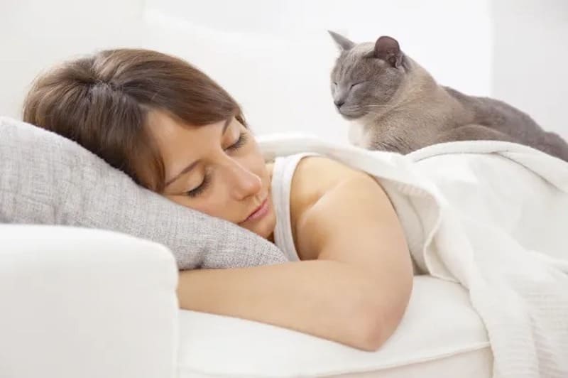 5 raisons pour lesquelles votre chat dort avec vous