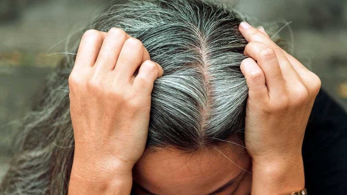 Cheveux gris : Ces Ingrédients naturels magiques qui aident à les éliminer rapidement