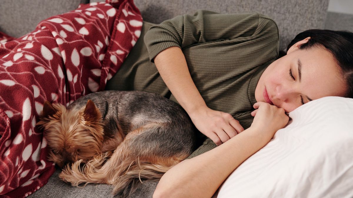 Est-il bon de dormir avec son chien ou son chat dans le même lit ? Les experts répondent à la question
