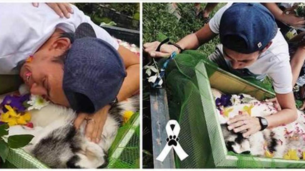 Il fait ses adieux à son chien bien-aimé après une longue lutte pour le sauver.