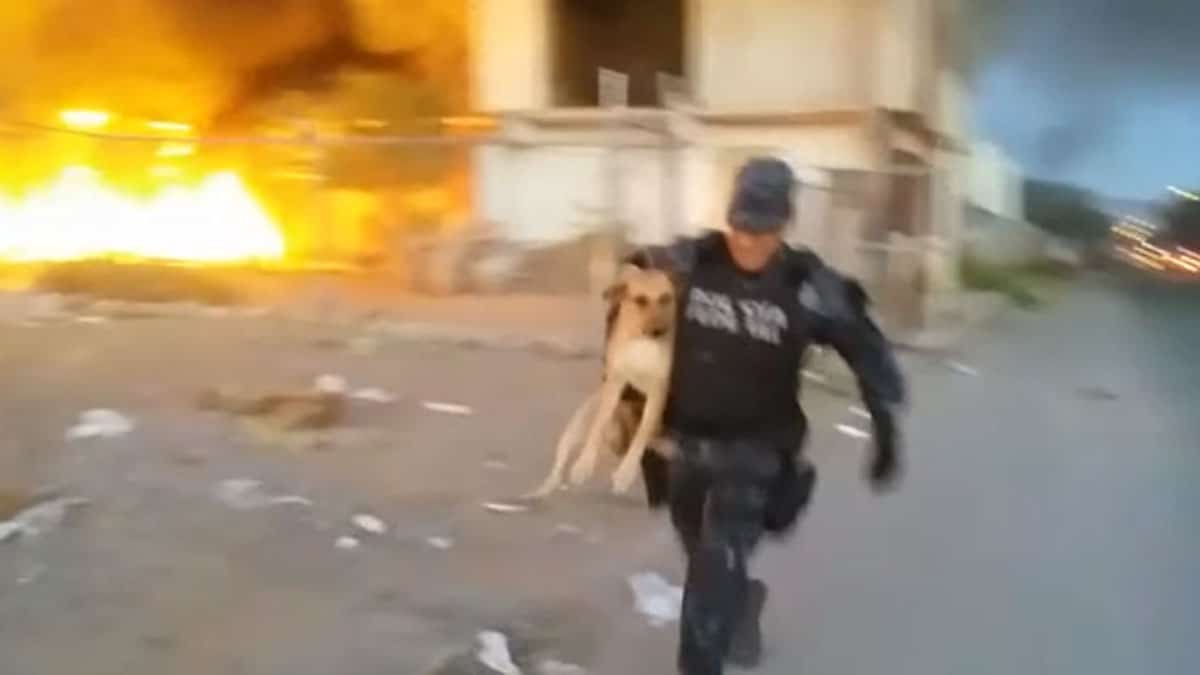 La police sauve un chien piégé dans les flammes d'un dangereux incendie