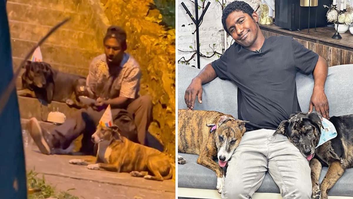 homme qui a fêté son anniversaire avec ses chiens dans la rue a changé pour le mieux