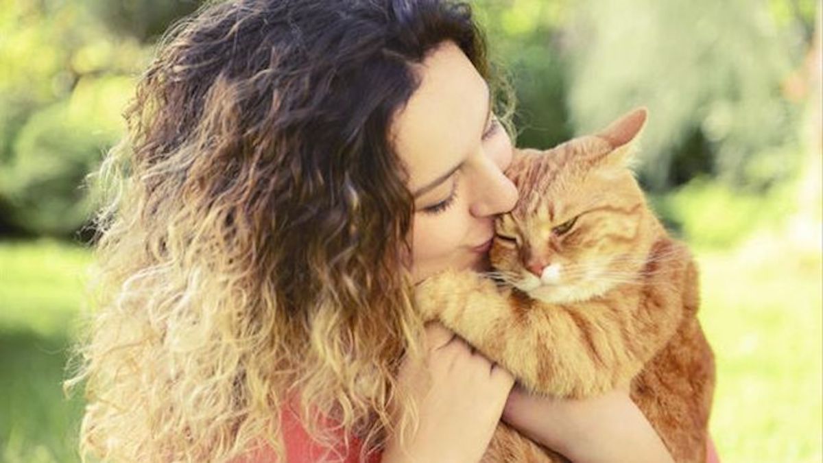 L'âge d'un chat : ce que tout propriétaire d'animal de compagnie doit savoir