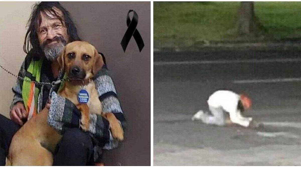 Le jour où un sans-abri a pleuré sans retenue son chien tué sur la route - "Il était mon seul ami".