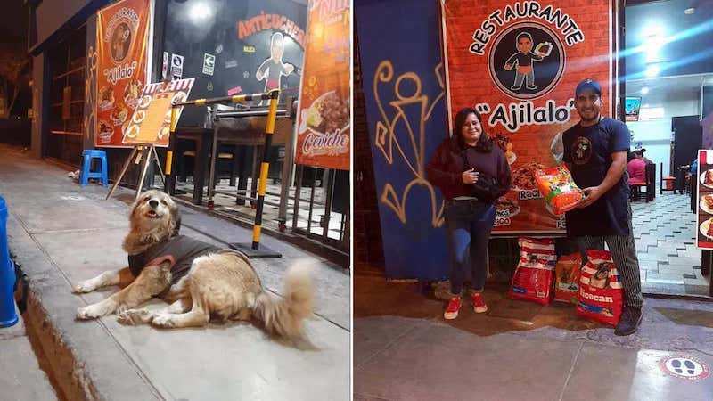 Le propriétaire d'un restaurant donne de la nourriture gratuite à chaque chien errant qui lui rend visite