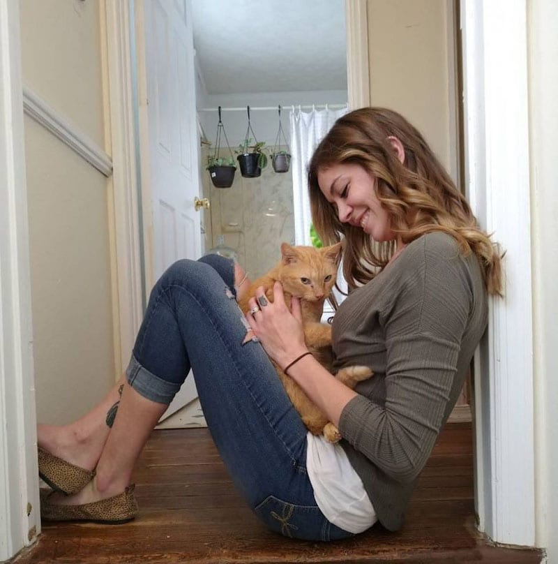 Un chat saute dans les bras de sa mère après avoir été perdu pendant 536 jours