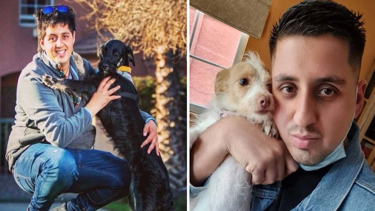 Un homme a sauvé plus de 1.000 chiens errants en 12 ans