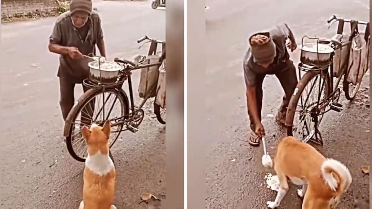 Un homme s'arrête pour donner une partie de sa nourriture à un chien sans abri