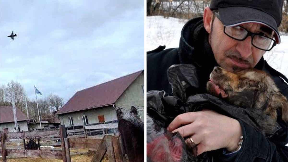Un sauveteur refuse de laisser ses 450 animaux en Ukraine : ses révélations fracassantes