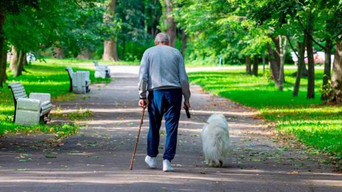 Une étude révèle les avantages de la possession d'un chien pour les personnes âgées