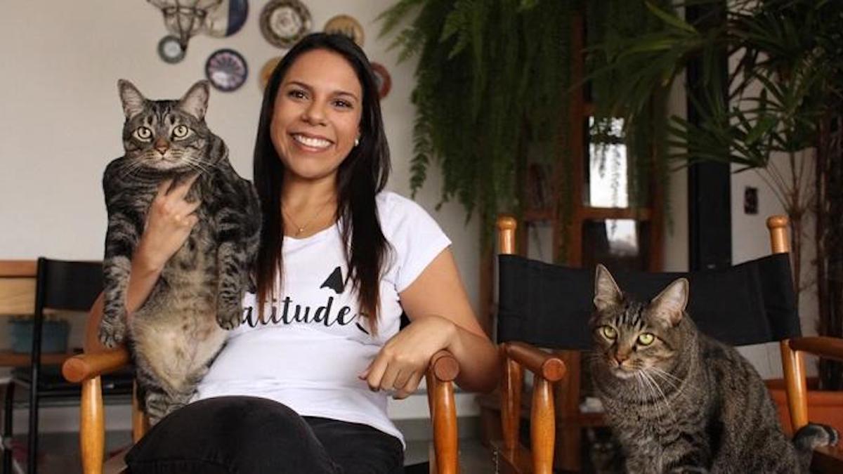 Une femme a quitté son emploi ennuyeux de publiciste pour devenir gardienne de chat.