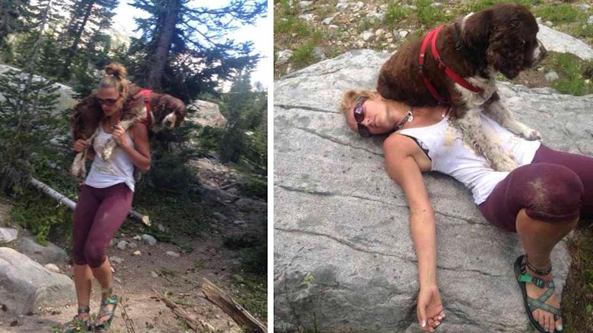 Une femme a trouvé un chien blessé sur une montagne et l'a descendu avec elle sur ses épaules
