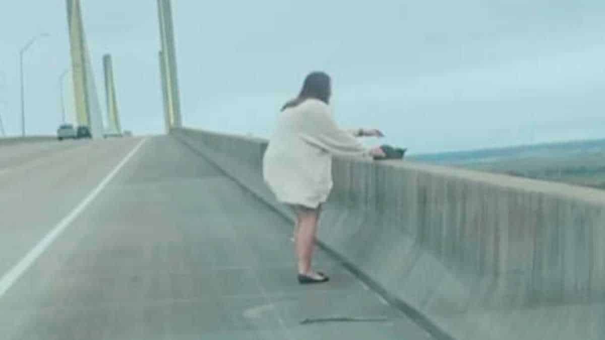 Une femme aperçoit un petit chaton sur le bord d'un pont et s'empresse d'intervenir