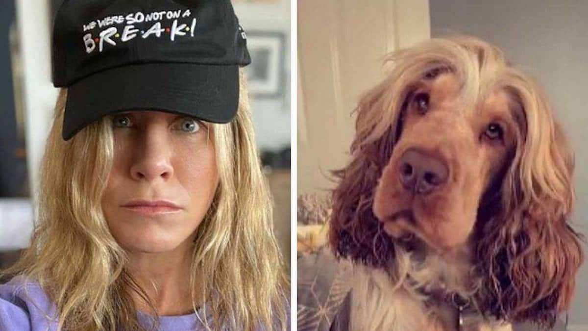 Une femme coiffe ses chiens selon les critères des célébrités et voici à quoi ils ressemblent.