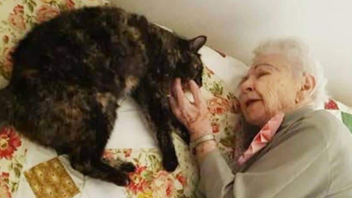 Une femme de 103 ans reçoit une douce surprise pour son anniversaire : un chat qui a besoin d'un foyer.