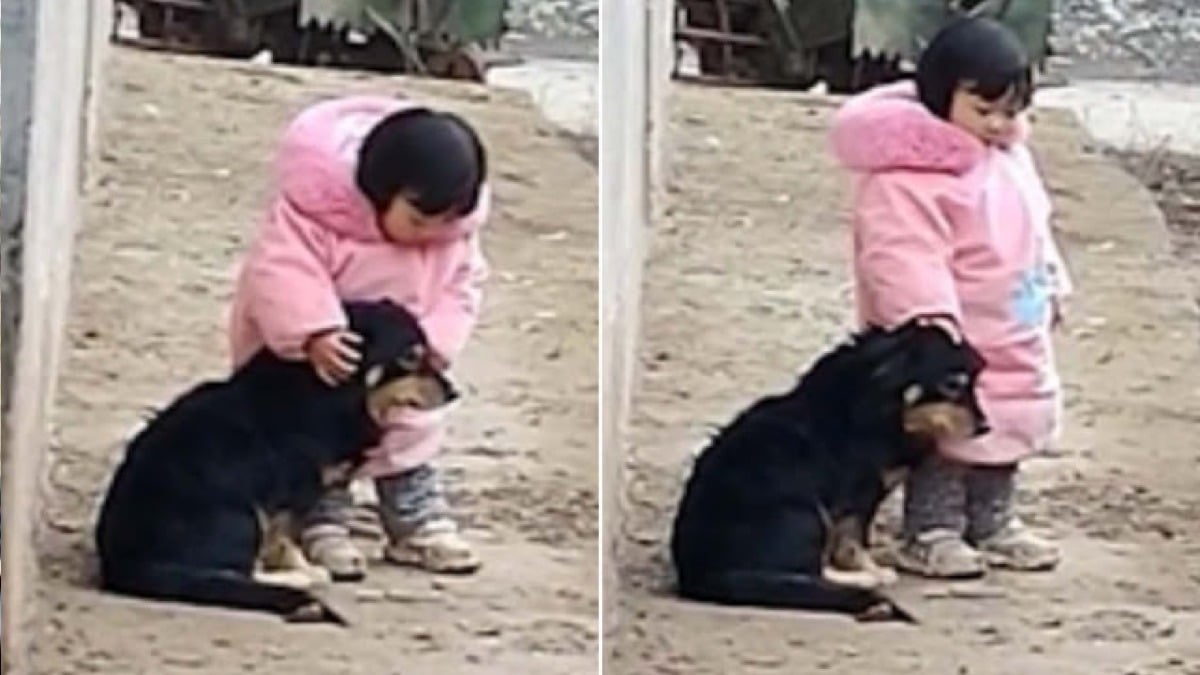 Une fillette de deux ans couvre les oreilles de son chien effrayé lorsqu'il entend le feu d'artifice