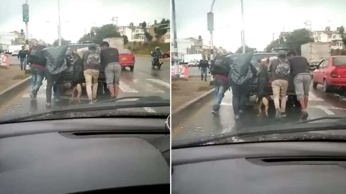 (Vidéo) Un chien adorable aide ses humains à pousser sa voiture en panne