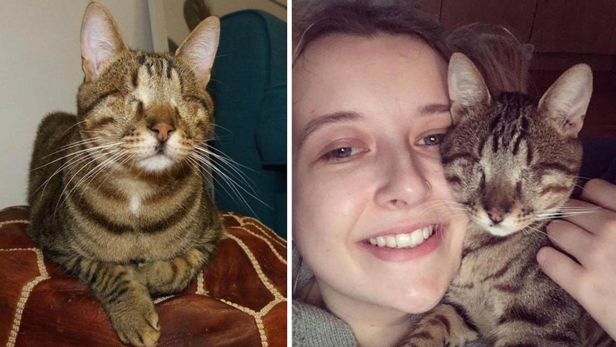 Ce chat aveugle de Grèce a trouvé l'amour d'une famille à Londres.