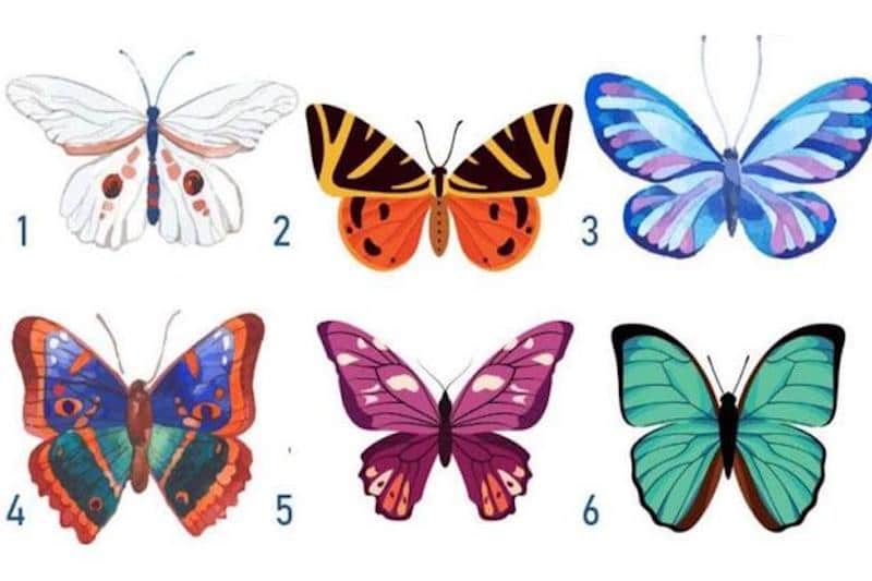 Scegli una farfalla e scopri cosa nasconde la tua personalità in questo quiz virale