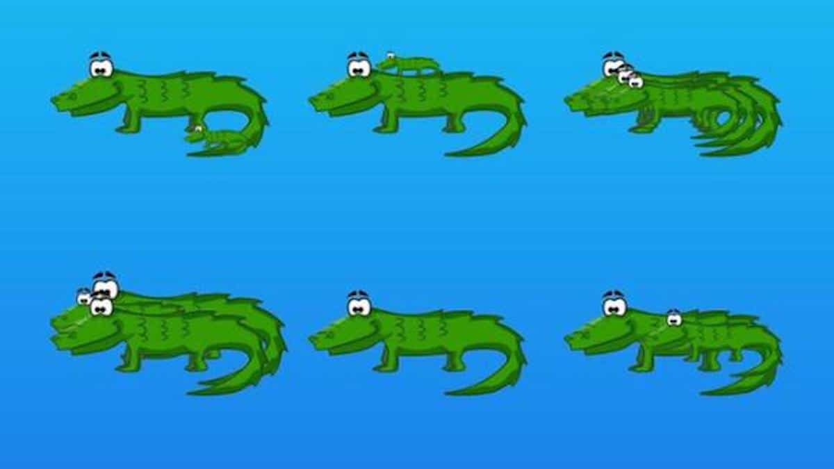 Combien de crocodiles voyez-vous ? Seuls 2% ont trouvé la bonne réponse à ce défi visuel [PHOTO].