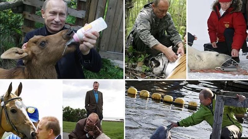 Découvrez quels sont les animaux de Vladimir Poutine, vous n'allez pas le croire !