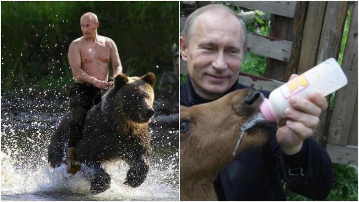 Découvrez quels sont les animaux de Vladimir Poutine, vous n'allez pas le croire !