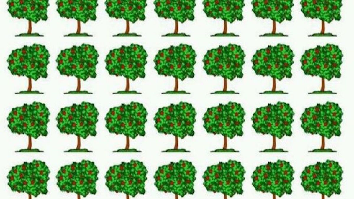 Défi visuel : Pouvez-vous trouver les différents arbres de l'image en moins de 10 secondes ?