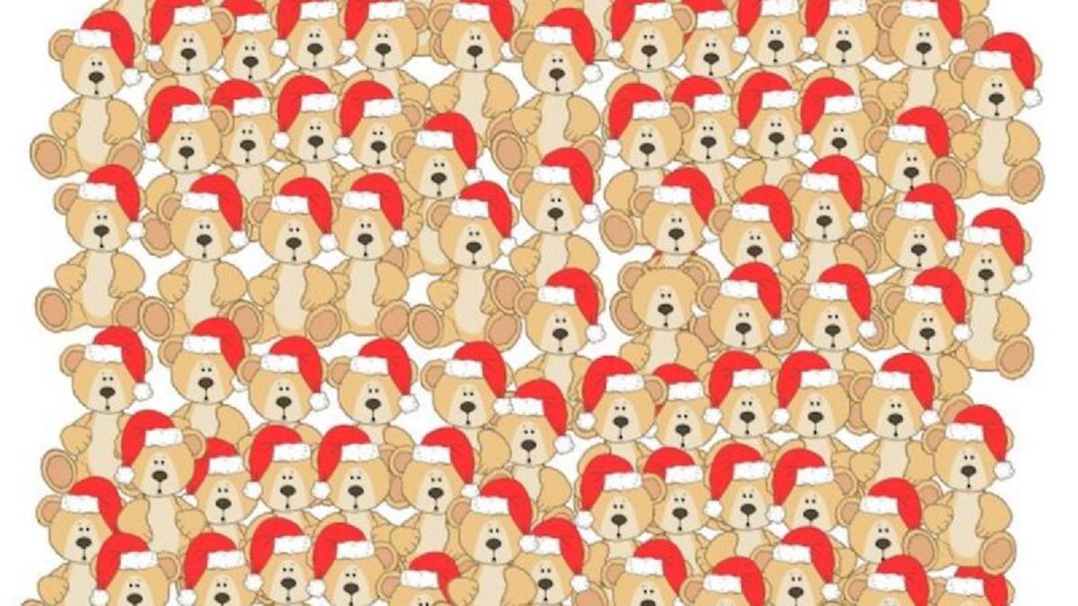 Défi visuel : Pouvez-vous trouver l'ours sans chapeau ? Vous avez 15 secondes