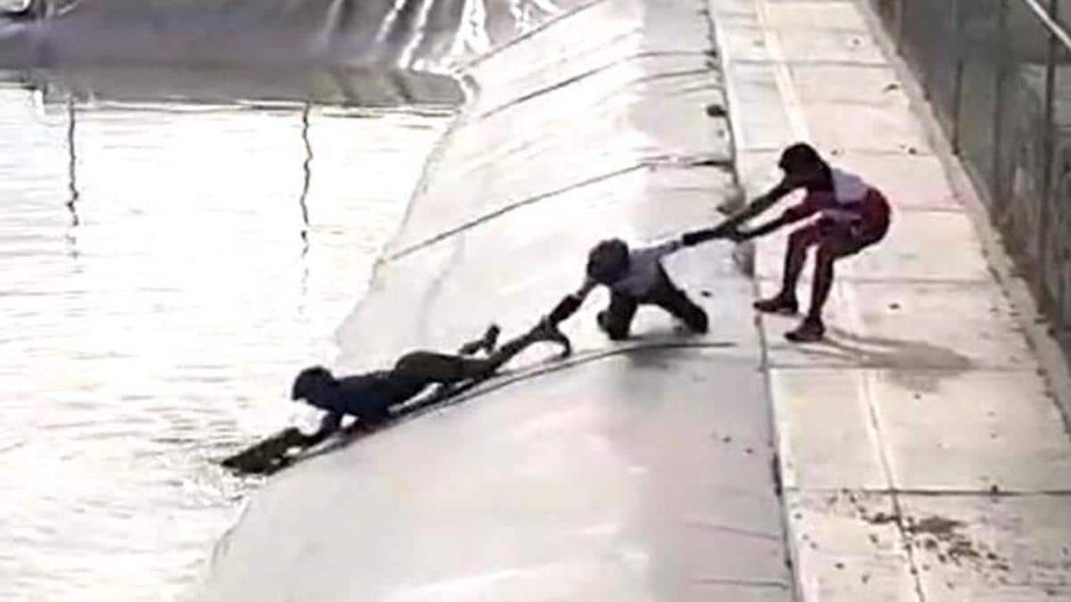 Des enfants font équipe et sauvent un chiot qui se noie dans un barrage.