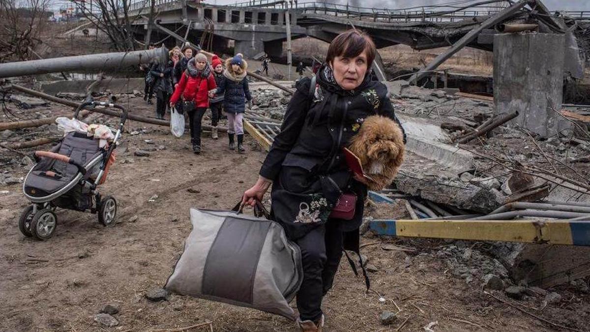 Des femmes polonaises sauvent des chiens laissés à la dérive par la guerre après l'invasion russe