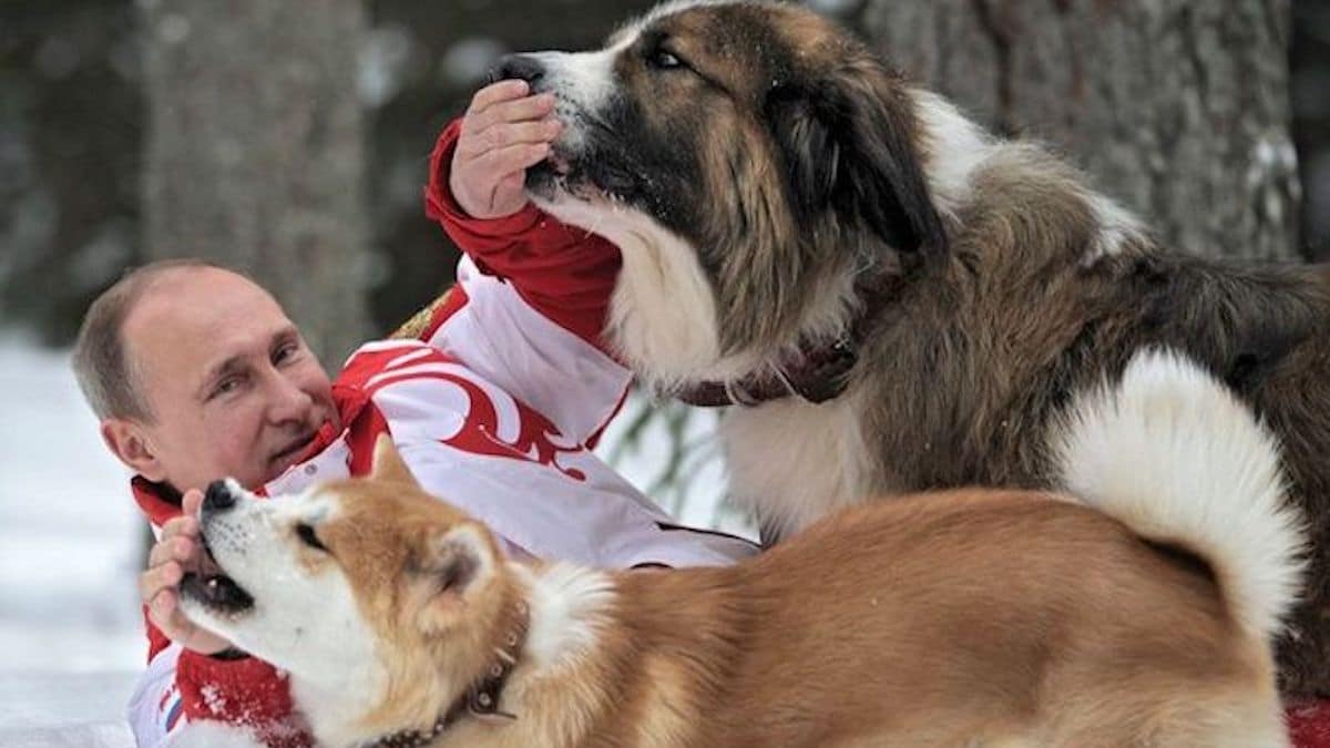 Des photos impressionnantes de Poutine révélant son grand amour pour les chiens
