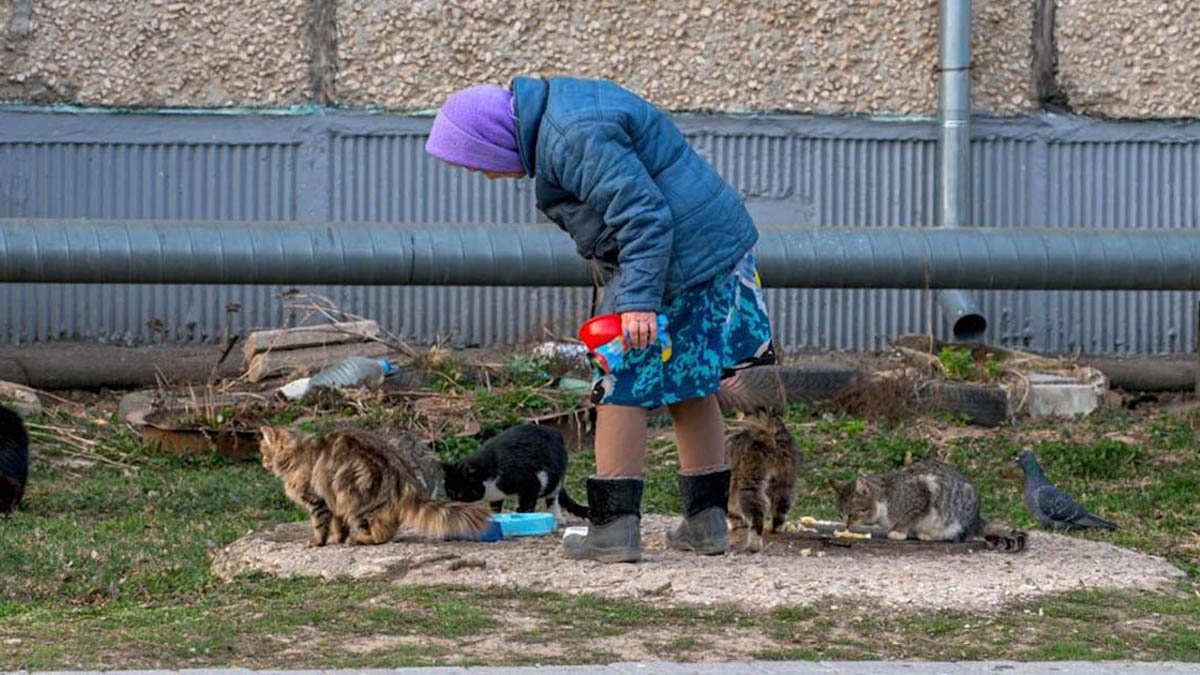 Des Ukrainiens âgés et handicapés risquent leur vie pour nourrir et sauver des animaux