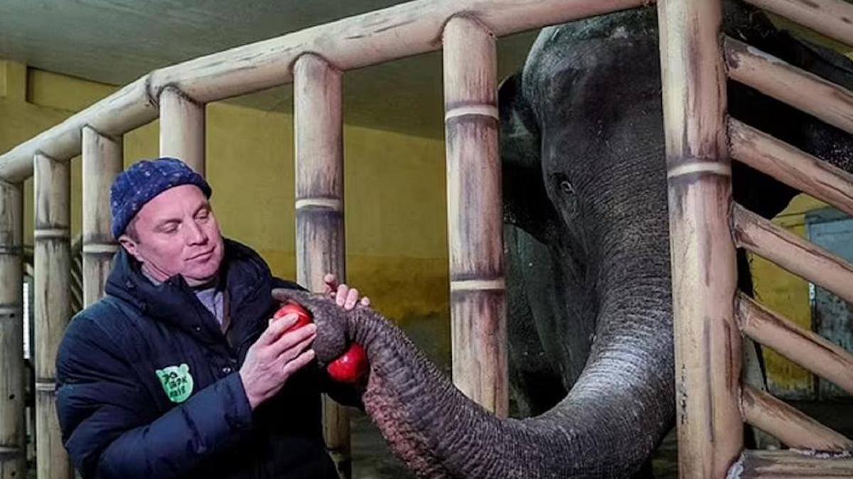 Des zoologistes ukrainiens s'installent au zoo de Kiev pour s'occuper de 4 000 animaux
