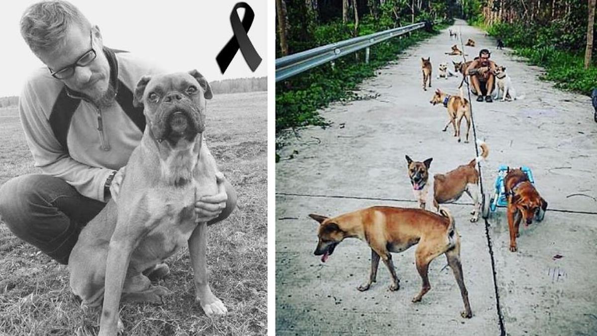 Il perd son animal de compagnie adoré et décide d'adopter 15 chiens errants en son honneur.