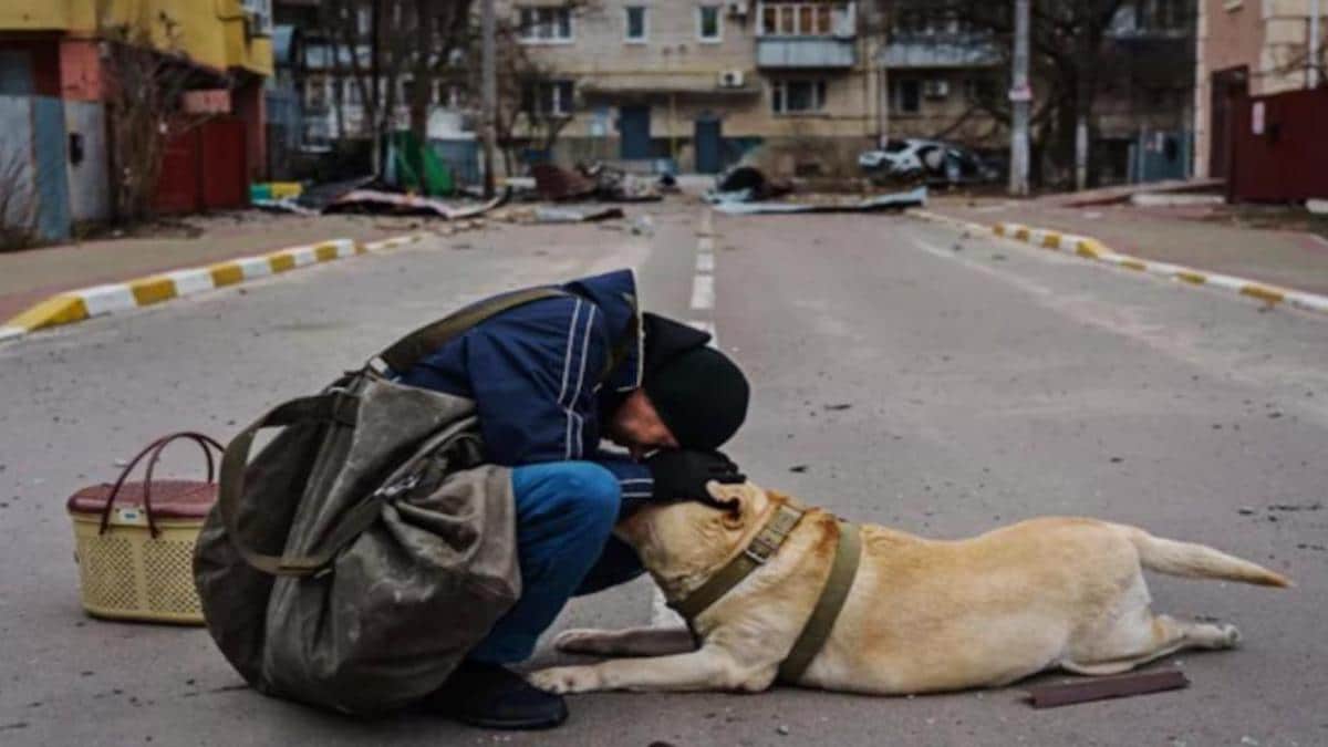 La douceur en photo : un homme tente de réconforter son chien paralysé par la peur dans une rue d'Irpin.