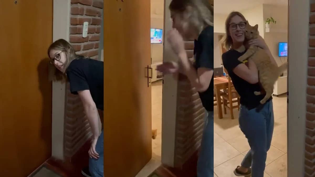 La vidéo virale d'un chat ouvrant la porte à sa maîtresse qui était enfermée à l'extérieur de son appartement.