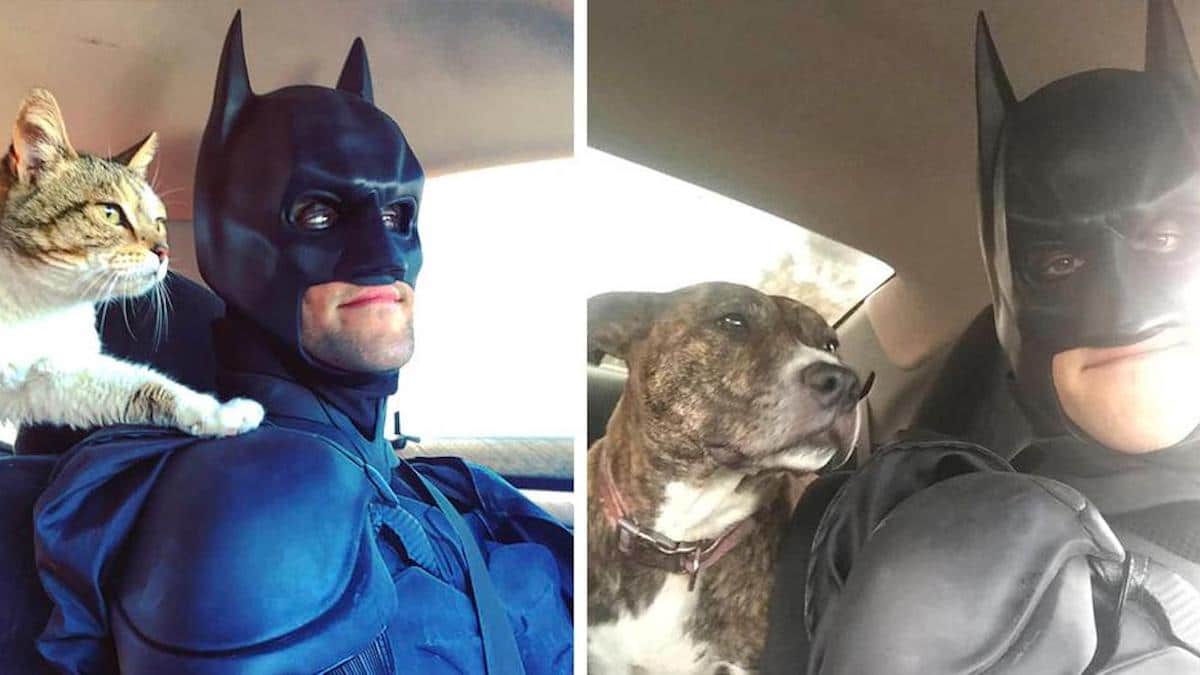 Le vrai Batman est en mission pour sauver les animaux sans abri.