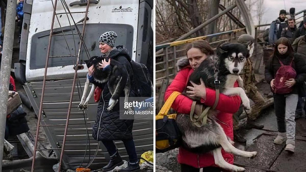 Les personnes fuyant l'Ukraine s'accrochent à leurs animaux de compagnie bien-aimés au milieu de la guerre