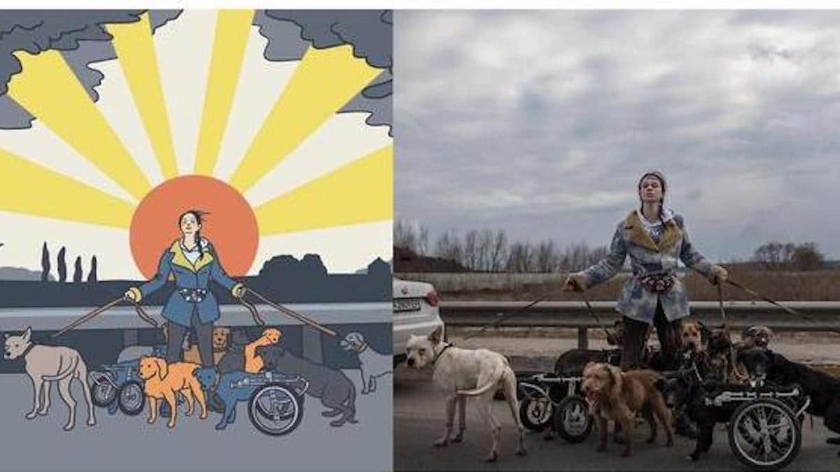 L'image qui est devenue une icône pour tous ceux qui aident les animaux en Ukraine : le jeune sauveteur de chiens.