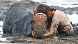Vidéo: Pendant trois heures, une femme désespérée tient son cheval pour qu'il ne se noie pas dans la boue et parvient finalement à le sauver.