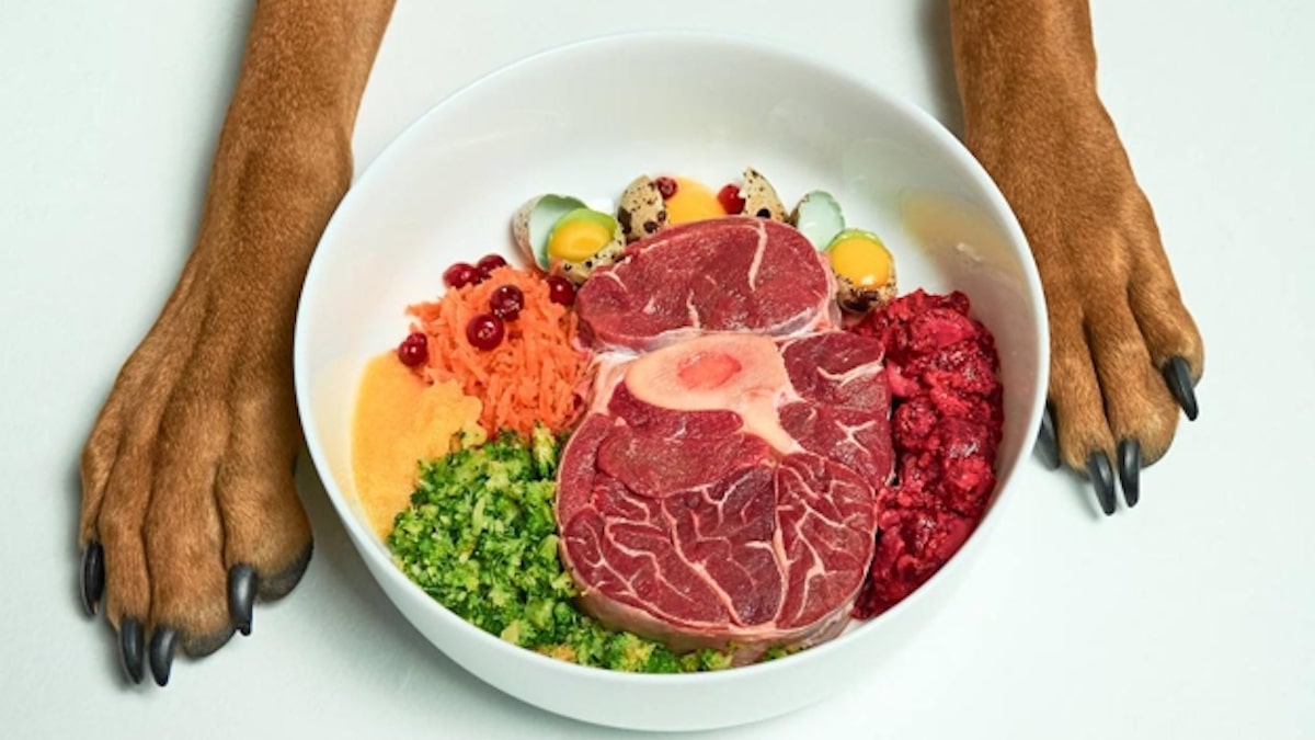 Qu'est-ce que la nourriture naturelle pour chiens et quels sont ses avantages ?